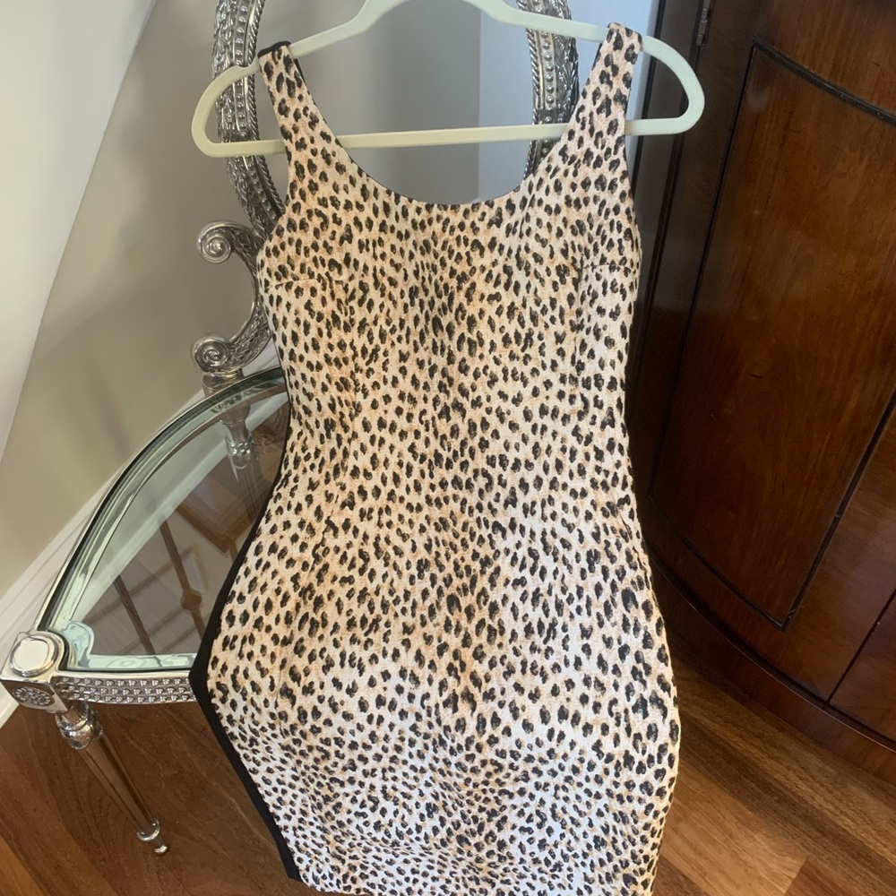 Diane Von Furstenberg Dress